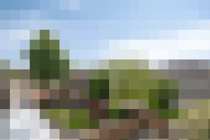 Lambertushof 92 Geldrop thumbnail 40