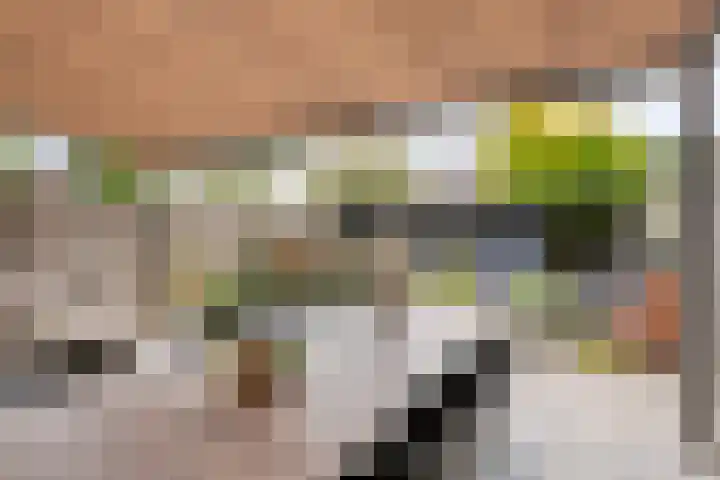 Lambertushof 92 Geldrop thumbnail 44