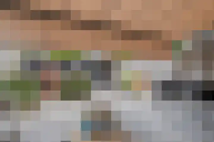Lambertushof 92 Geldrop thumbnail 45