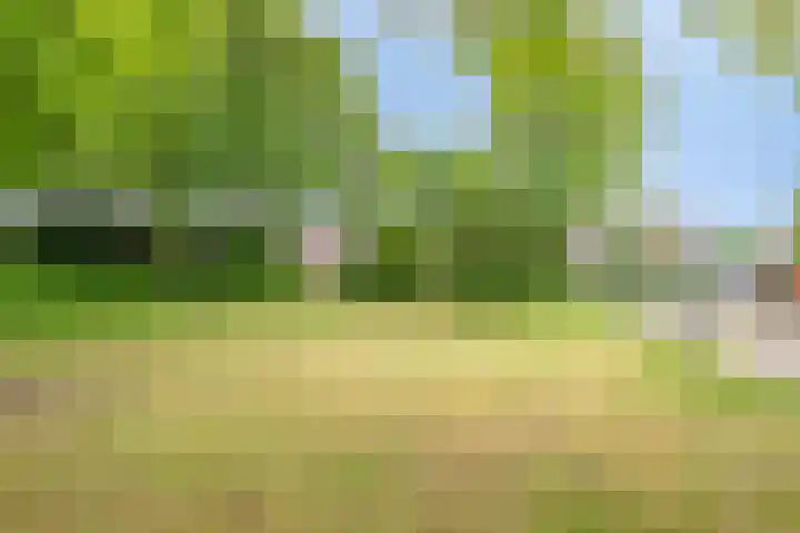 Lambertushof 92 Geldrop thumbnail 56