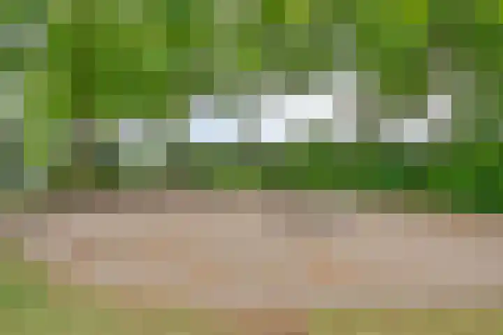 Lambertushof 92 Geldrop thumbnail 57