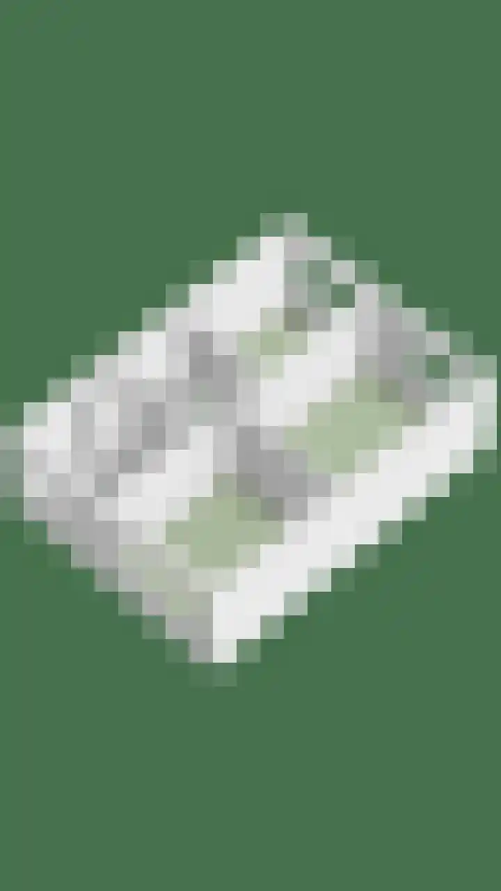 Lambertushof 92 Geldrop thumbnail 64