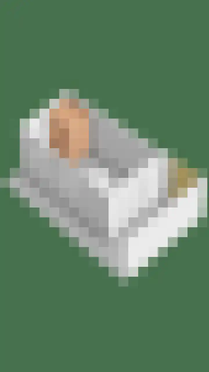 Lambertushof 92 Geldrop thumbnail 65