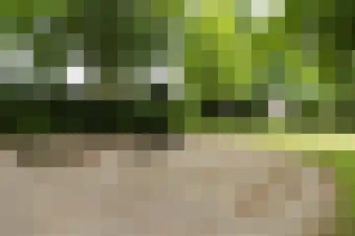 Lambertushof 96 Geldrop thumbnail 10