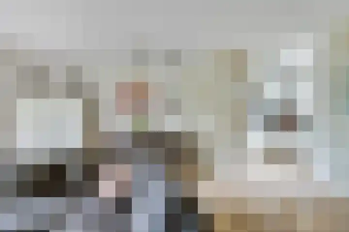 Lambertushof 96 Geldrop thumbnail 19