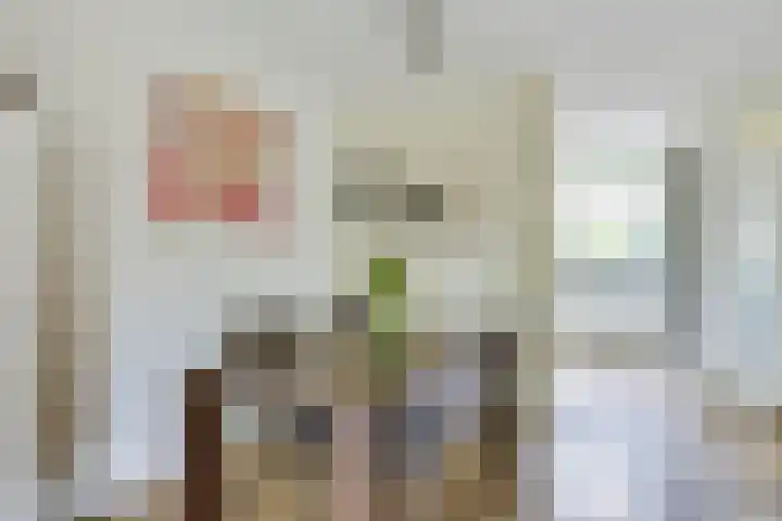 Lambertushof 96 Geldrop thumbnail 21