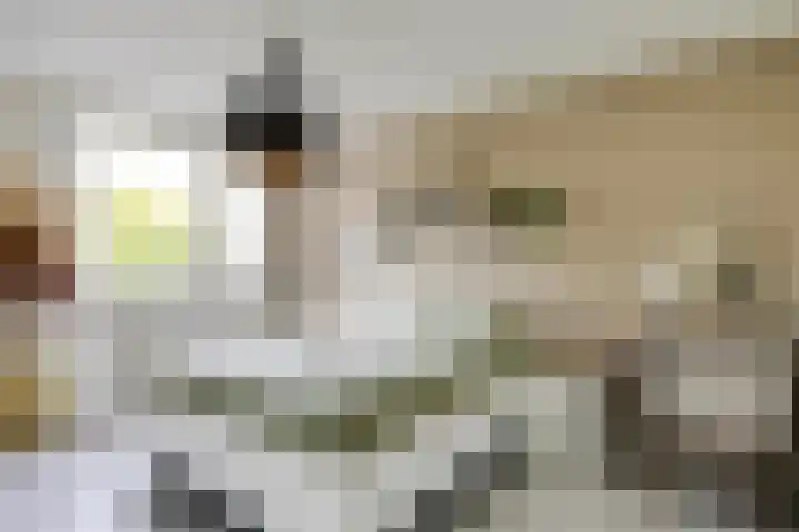 Lambertushof 96 Geldrop thumbnail 29