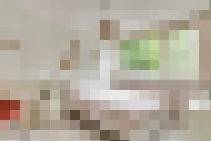 Lambertushof 96 Geldrop thumbnail 31