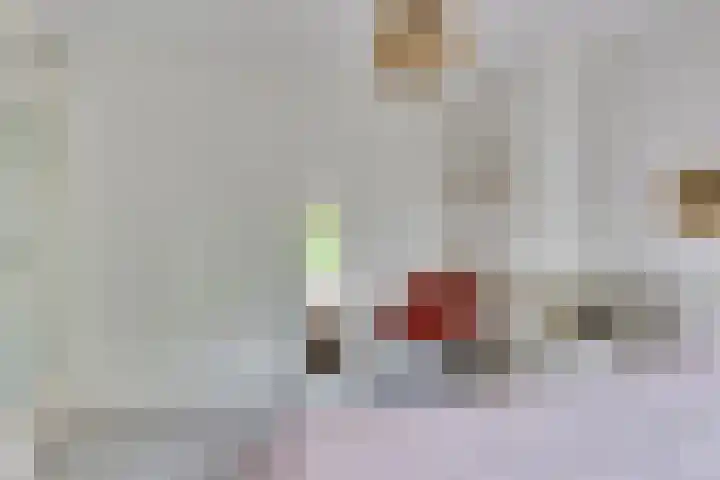 Lambertushof 96 Geldrop thumbnail 32