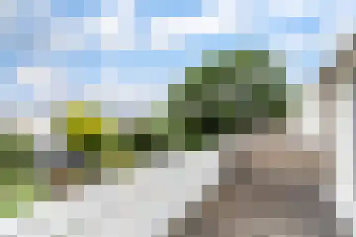 Lambertushof 96 Geldrop thumbnail 45