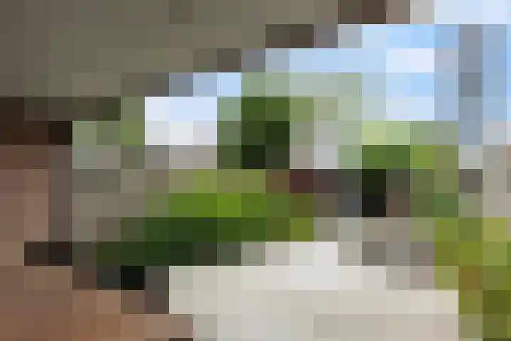 Lambertushof 96 Geldrop thumbnail 46