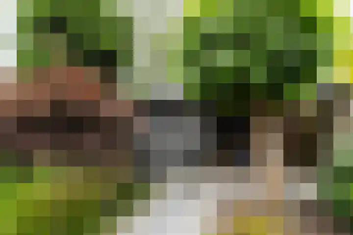 Lambertushof 96 Geldrop thumbnail 47