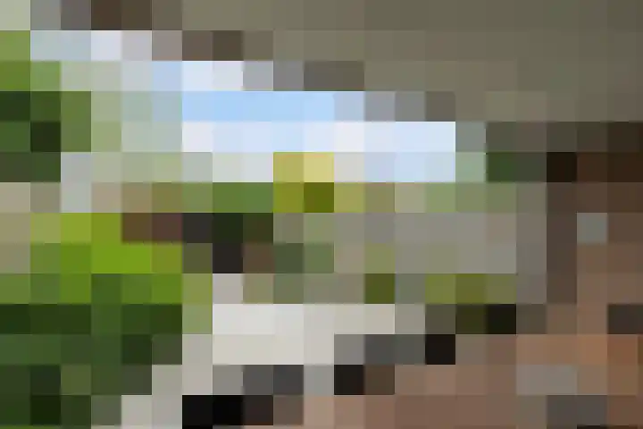 Lambertushof 96 Geldrop thumbnail 5