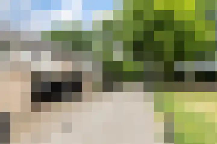 Lambertushof 96 Geldrop thumbnail 7