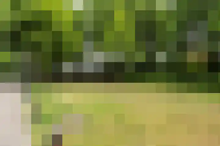 Lambertushof 96 Geldrop thumbnail 8