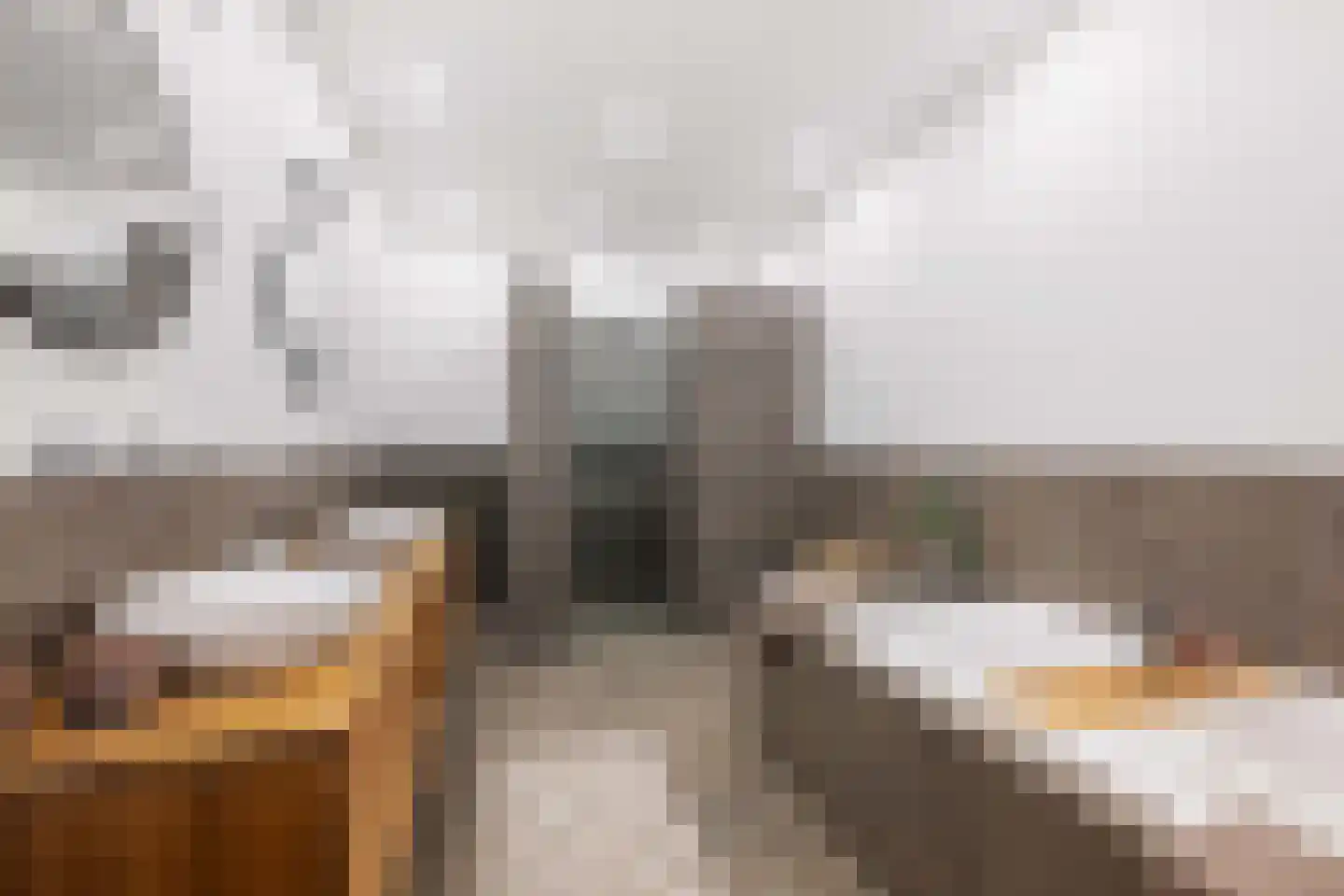 Lambertusstraat 152 Rotterdam thumbnail 20