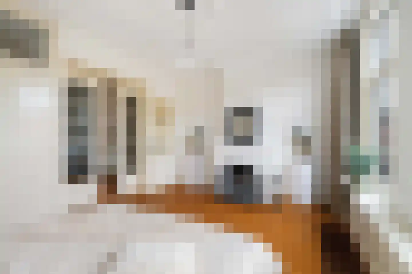 Lambertusstraat 152 Rotterdam thumbnail 29