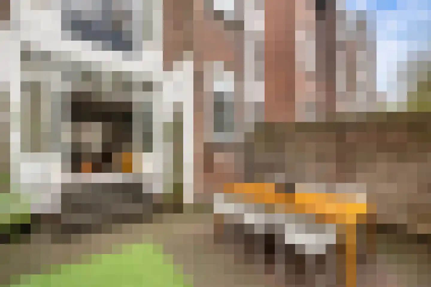 Lambertusstraat 152 Rotterdam thumbnail 36