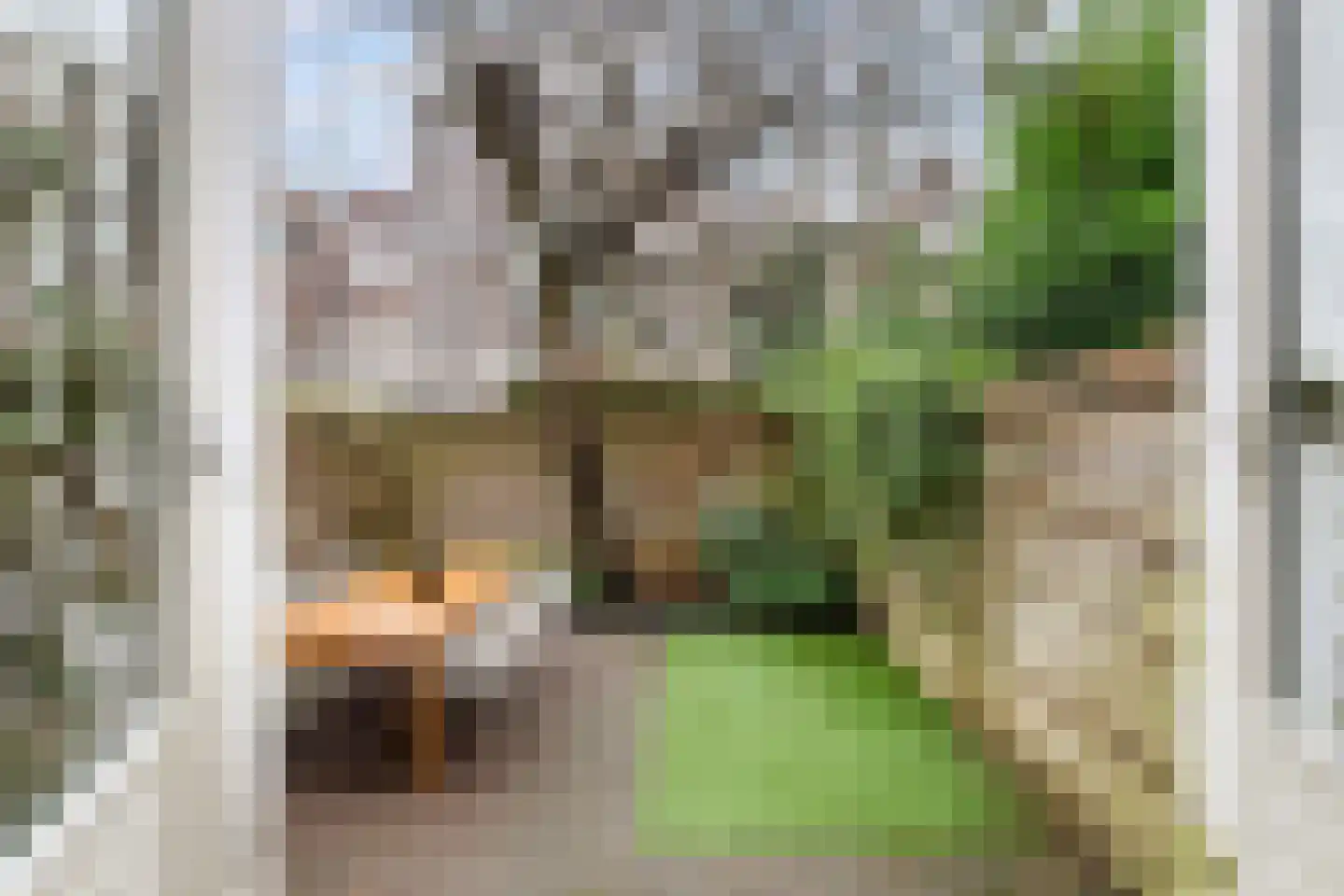 Lambertusstraat 152 Rotterdam thumbnail 37