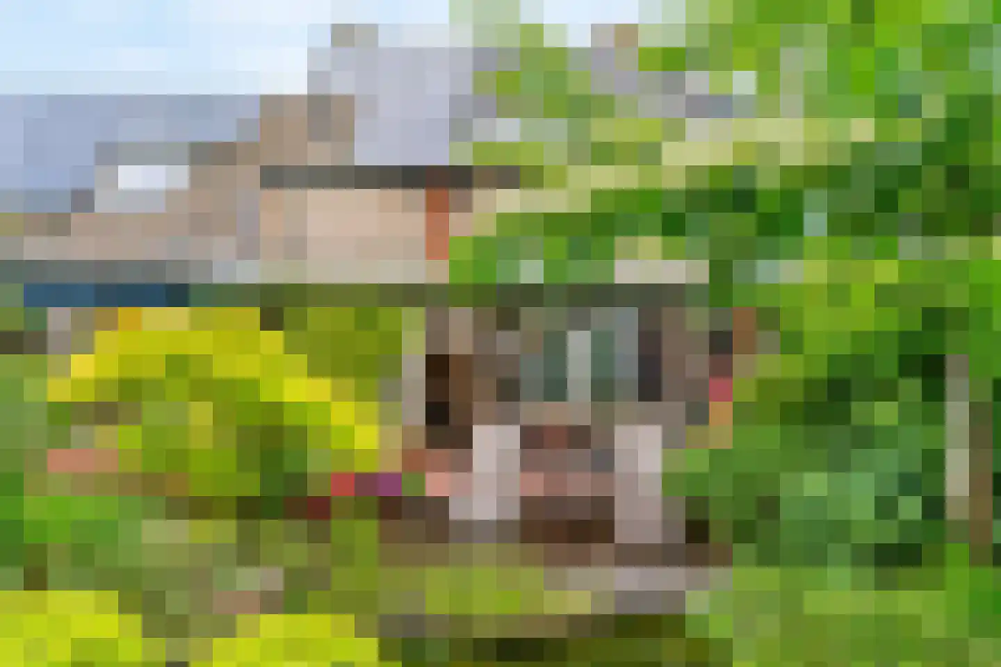 Lambertusstraat 18 Swalmen thumbnail 37
