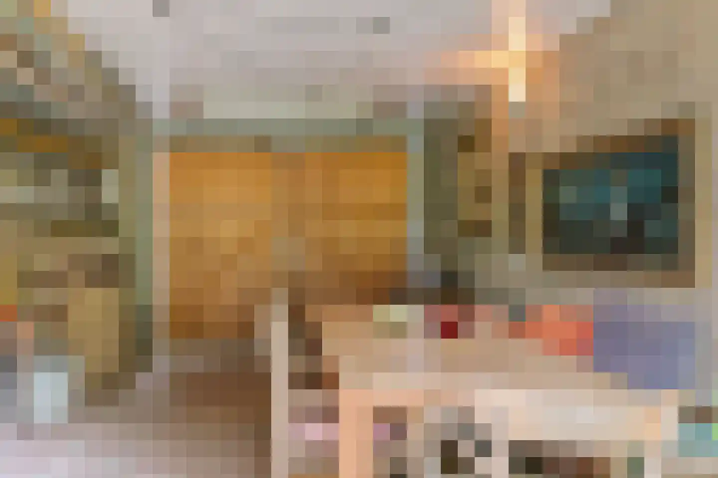 Lambertusstraat 18 Swalmen thumbnail 40