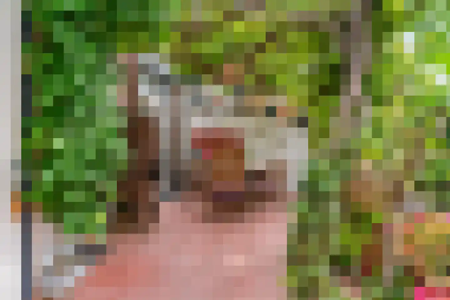 Lambertusstraat 18 Swalmen thumbnail 6
