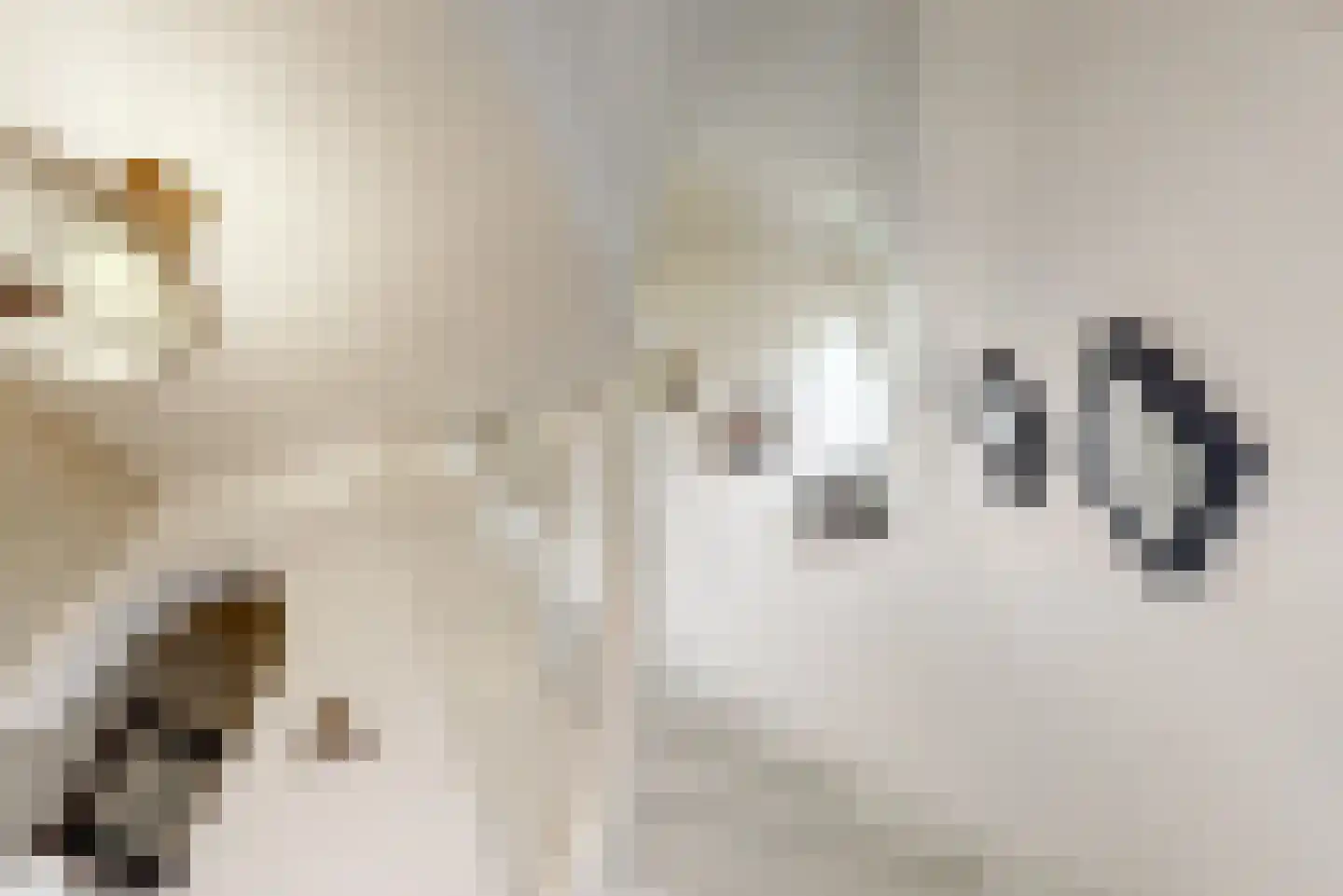 Lambertusstraat 18 Swalmen thumbnail 9