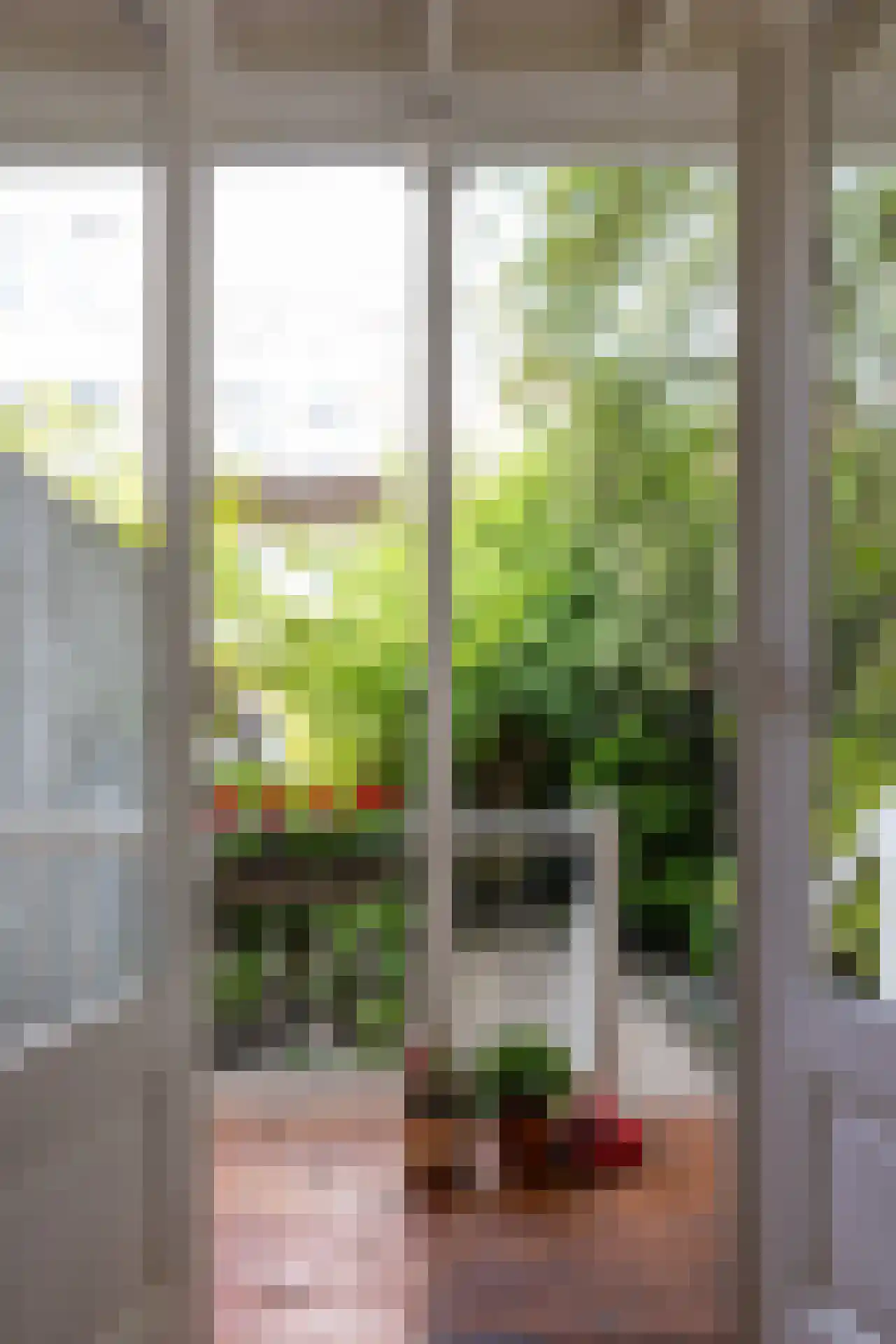 Lambertusstraat 187 Rotterdam thumbnail 14
