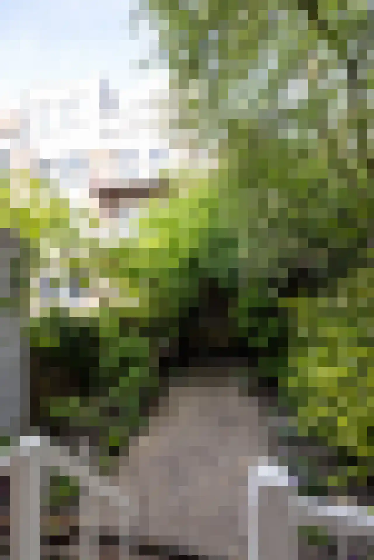Lambertusstraat 187 Rotterdam thumbnail 41