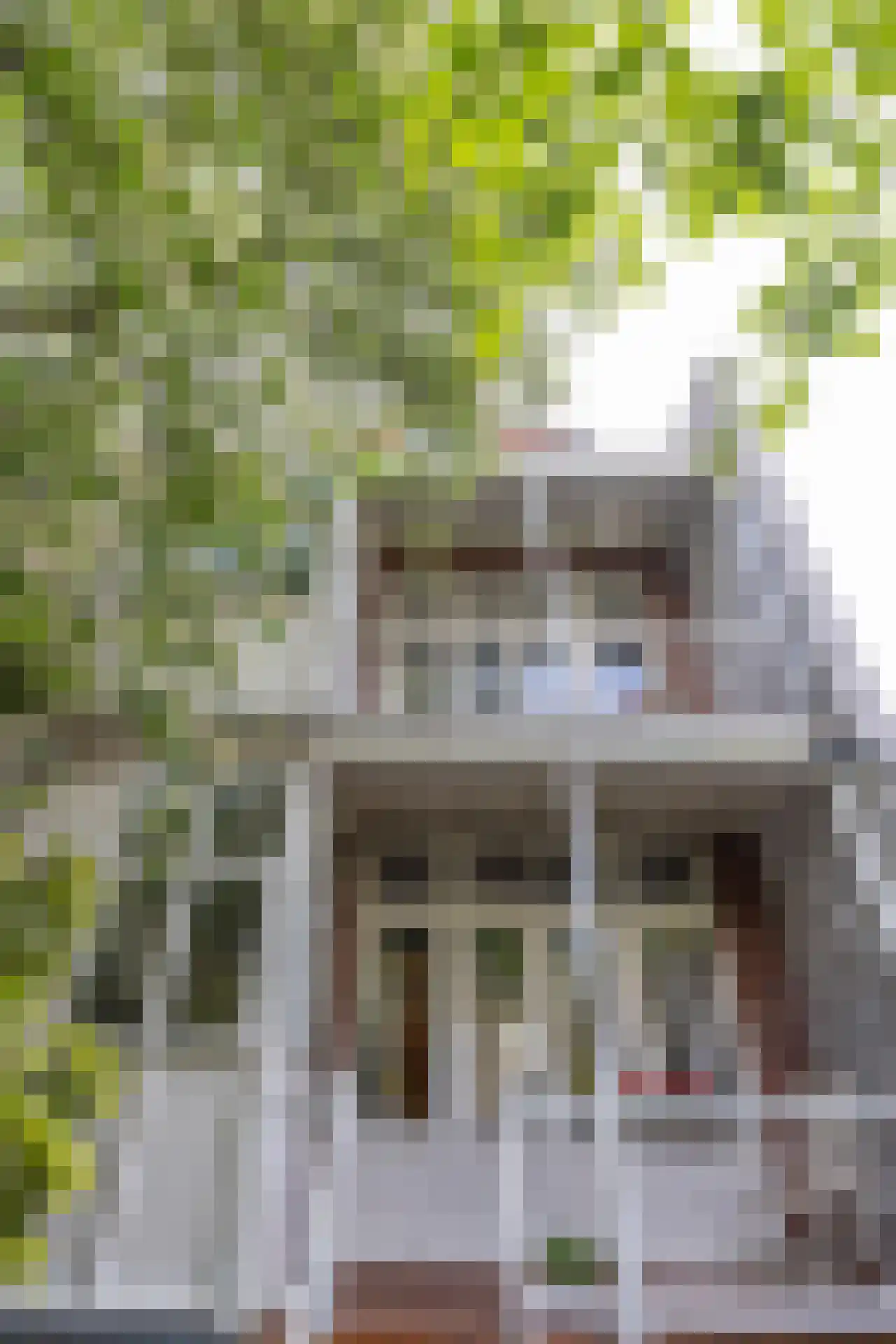 Lambertusstraat 187 Rotterdam thumbnail 42