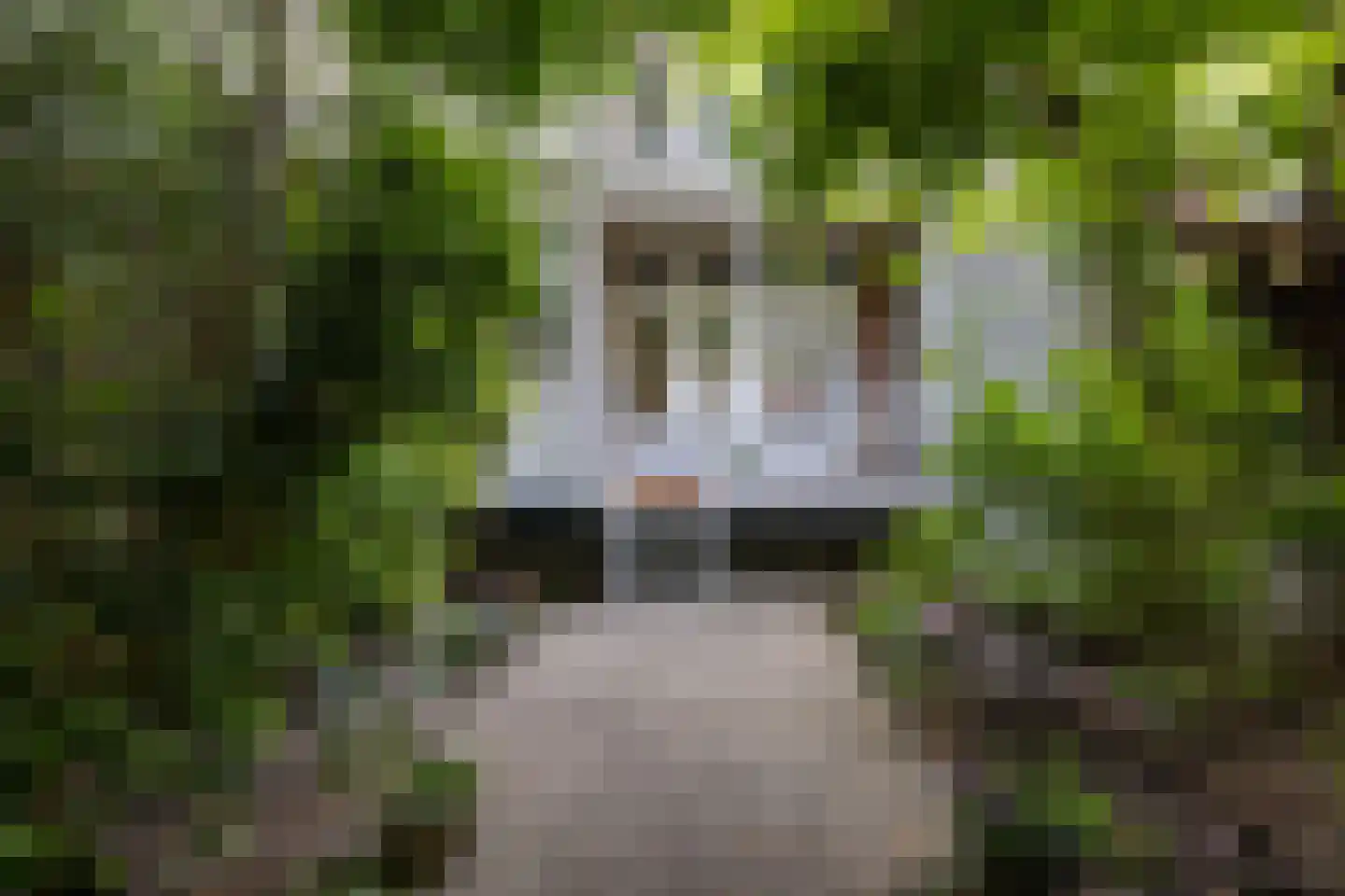 Lambertusstraat 187 Rotterdam thumbnail 5