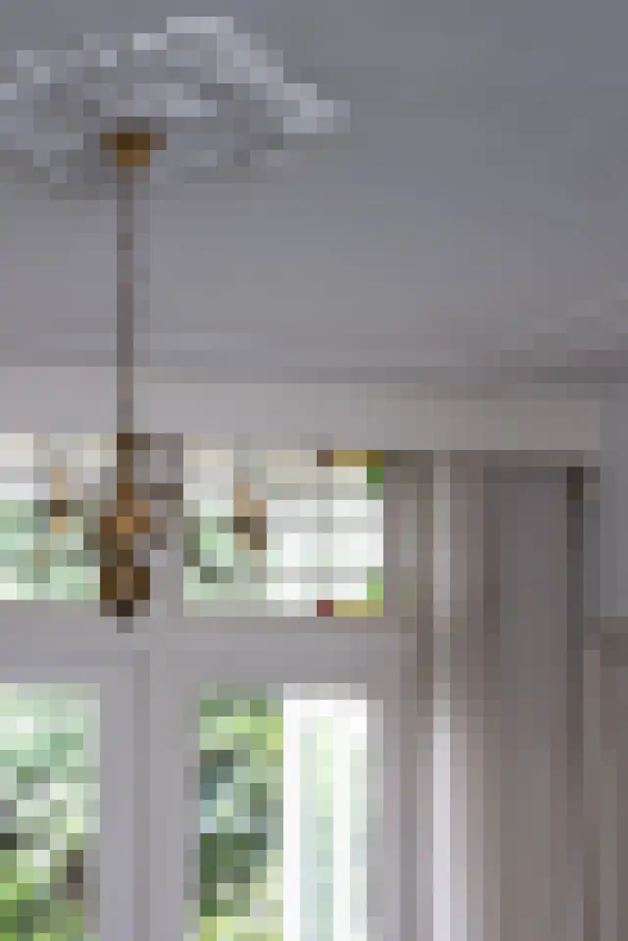 Lambertusstraat 187 Rotterdam thumbnail 9