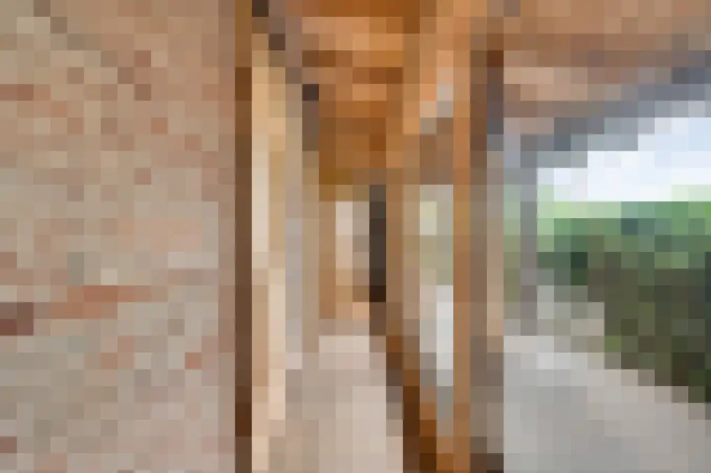 Lambertusstraat 23 Neeritter thumbnail 14