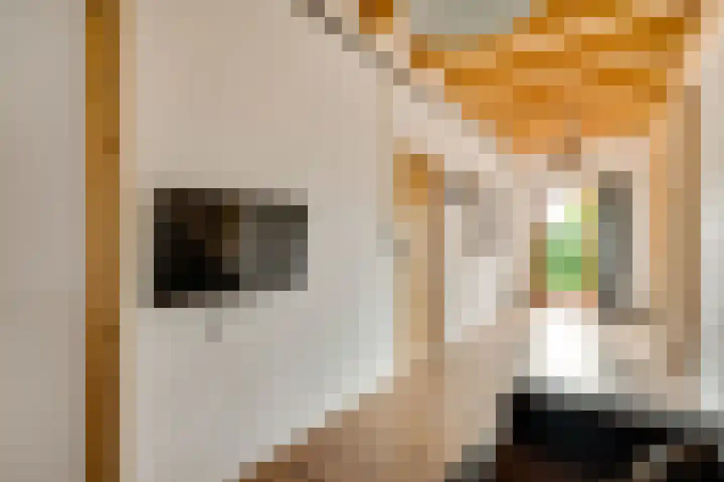 Lambertusstraat 23 Neeritter thumbnail 21