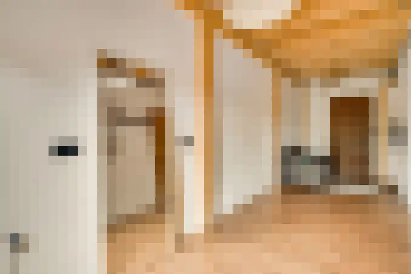 Lambertusstraat 23 Neeritter thumbnail 28