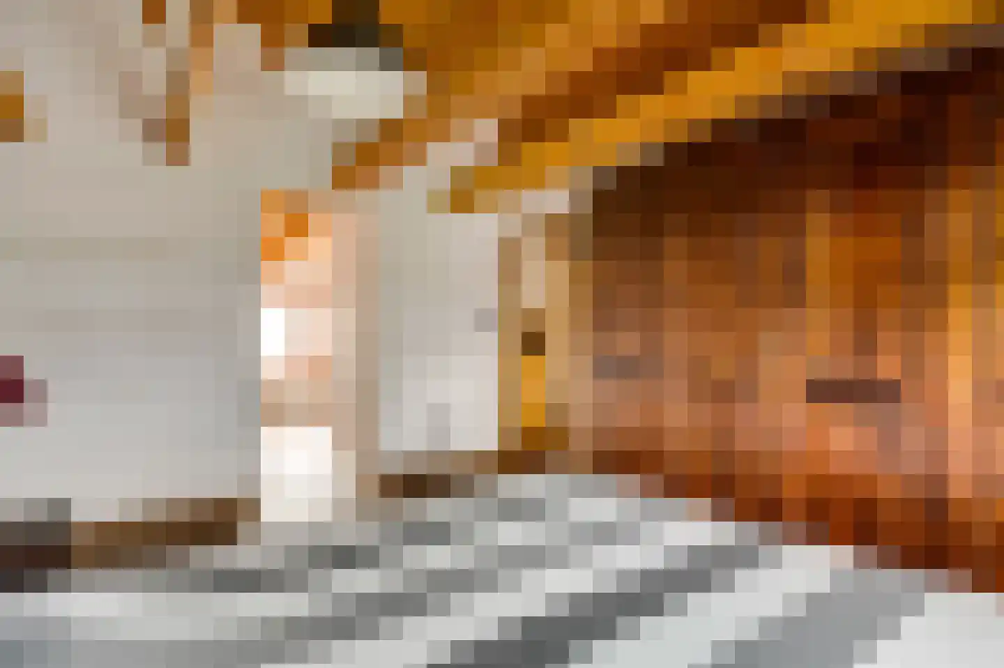 Lambertusstraat 23 Neeritter thumbnail 31