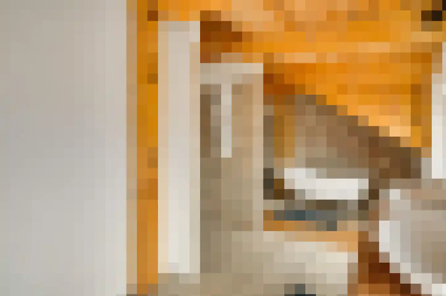 Lambertusstraat 23 Neeritter thumbnail 34