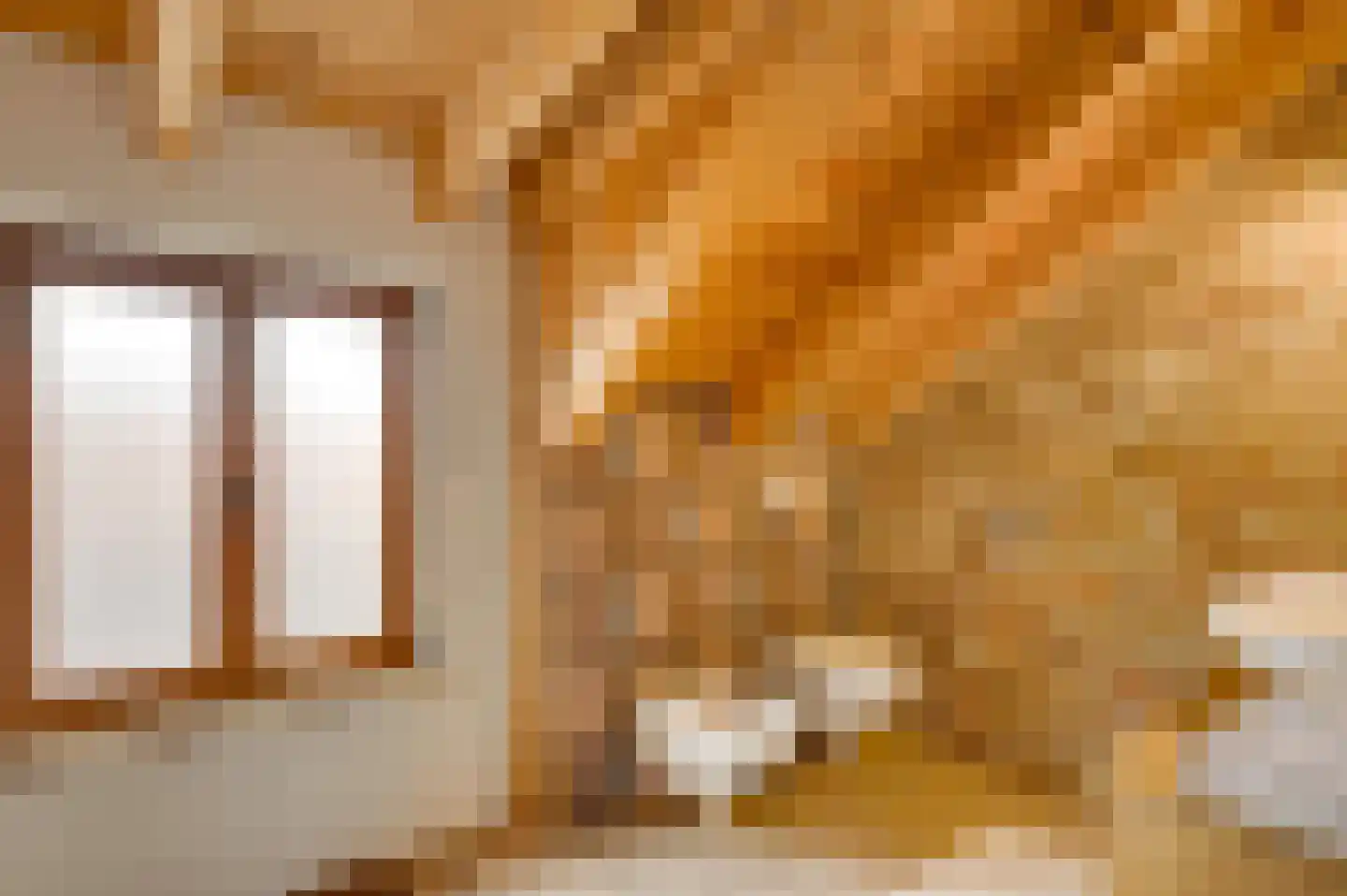 Lambertusstraat 23 Neeritter thumbnail 36