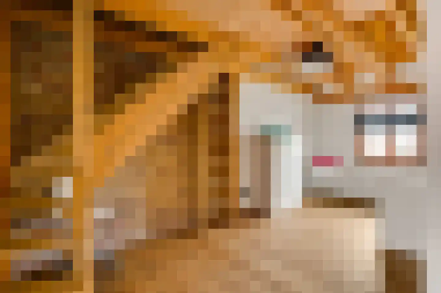 Lambertusstraat 23 Neeritter thumbnail 38