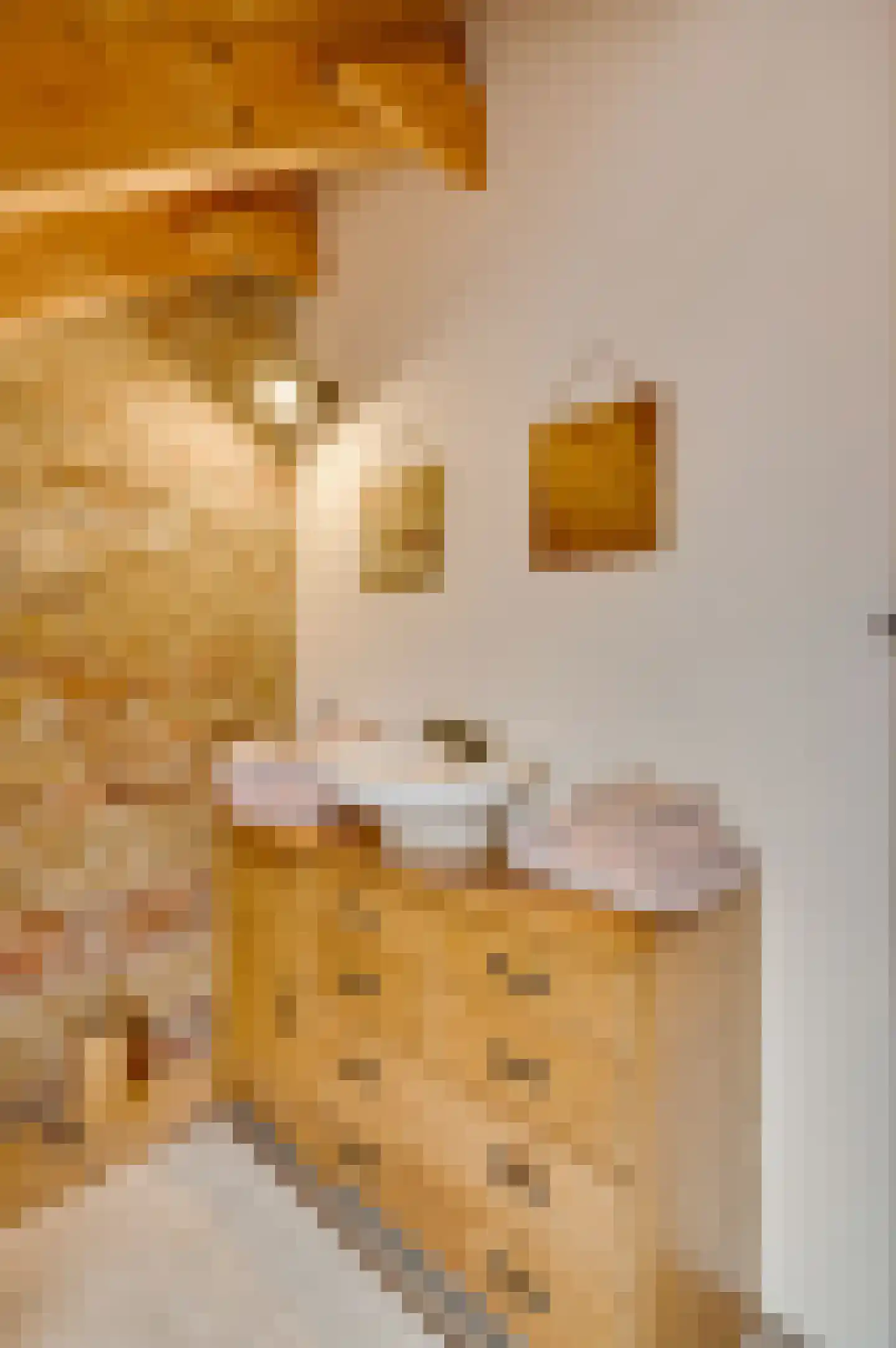 Lambertusstraat 23 Neeritter thumbnail 42