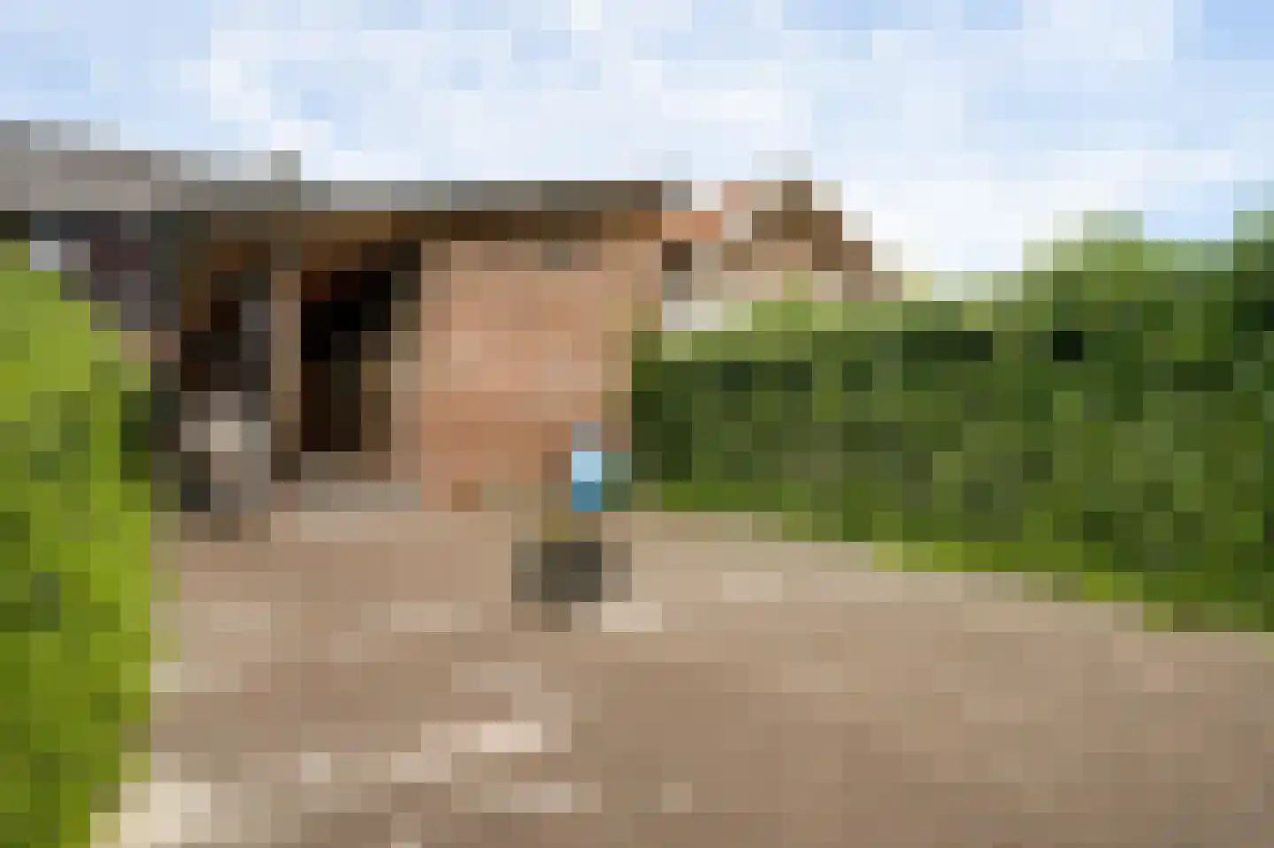 Lambertusstraat 23 Neeritter thumbnail 51