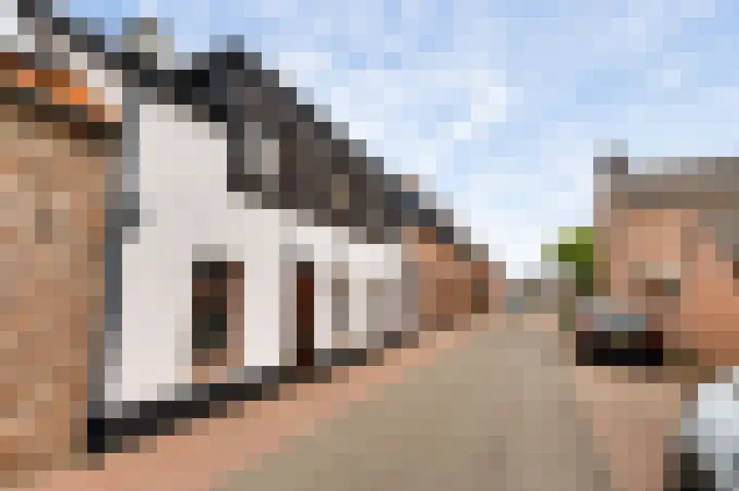 Lambertusstraat 23 Neeritter thumbnail 64