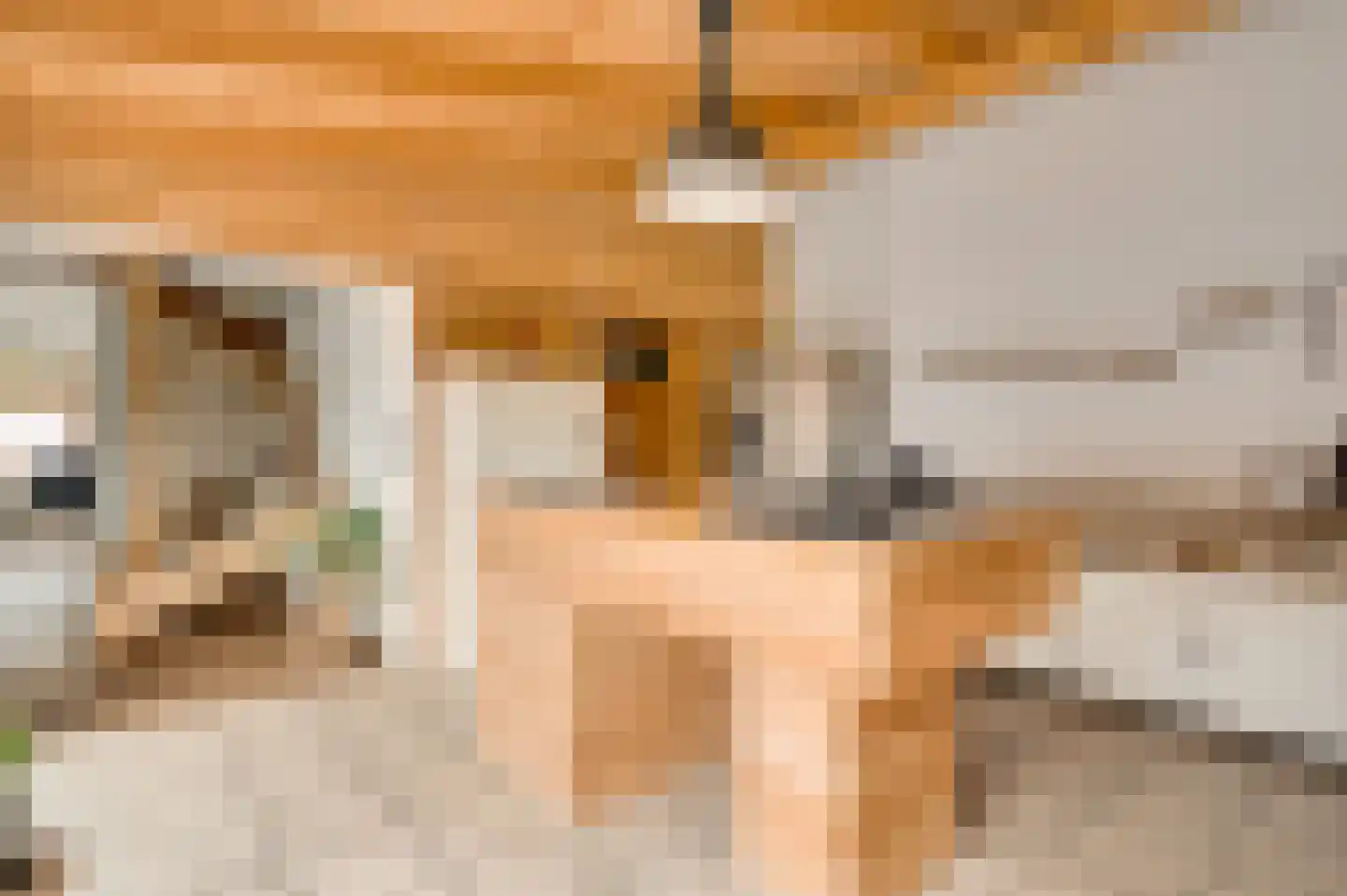 Lambertusstraat 23 Neeritter thumbnail 8