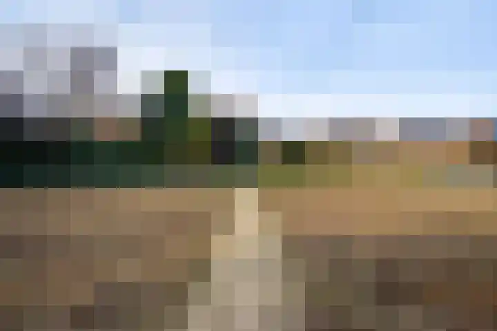 Lambertusstraat 3 Neeritter thumbnail 30