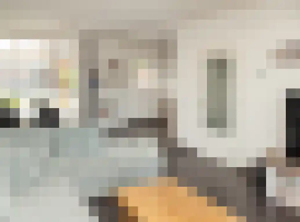 Lambertusstraat 76 Etten-Leur thumbnail 4
