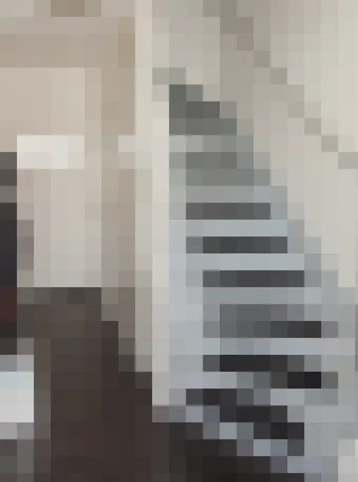 Lambertusstraat 76 Etten-Leur thumbnail 6
