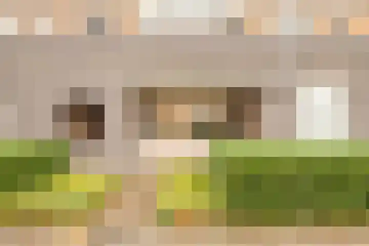 Lambertusterp 2 Rosmalen thumbnail 23
