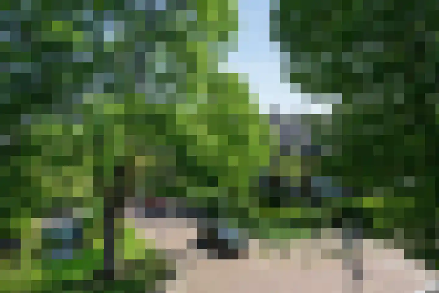 Lambertweg 22 Rotterdam thumbnail 49