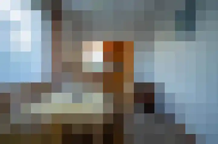Lambertweg 26 De Rips thumbnail 11