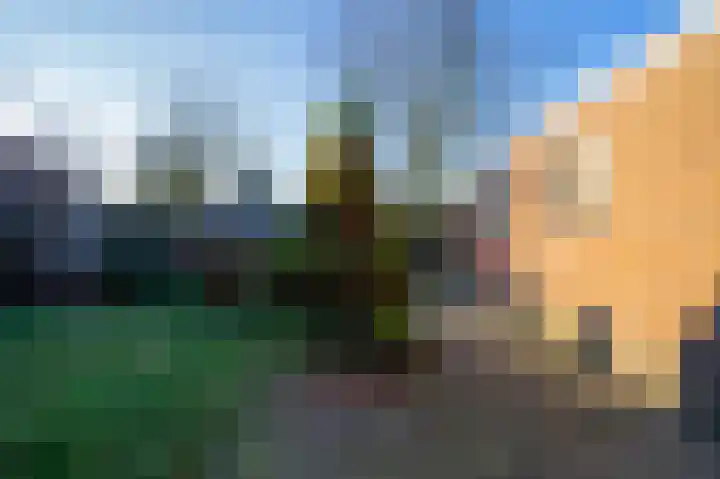 Lambertweg 26 De Rips thumbnail 38